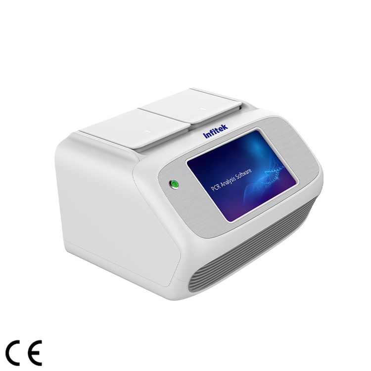 Real-time PCR